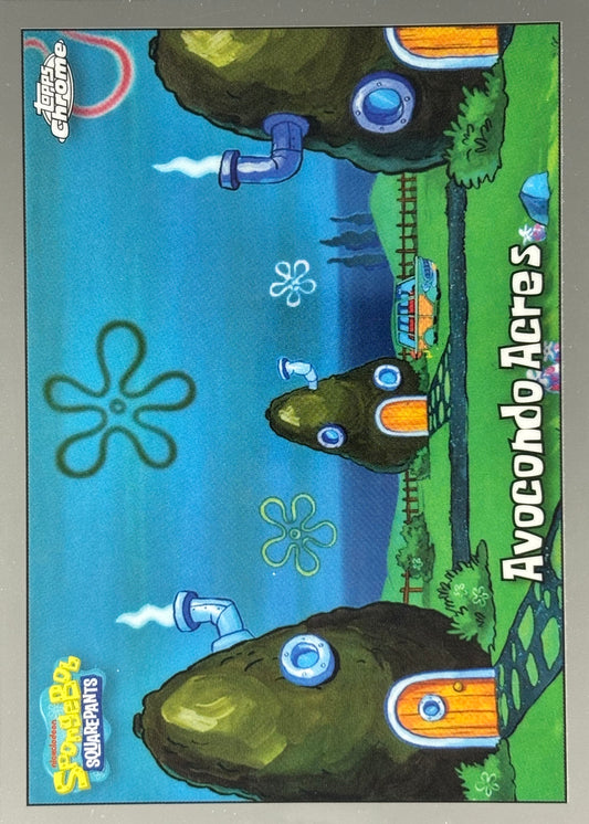 Avaocondo Acres Topps Chrome SpongeBob