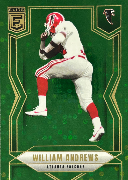 Williams Andrews Elite Disco Falcons