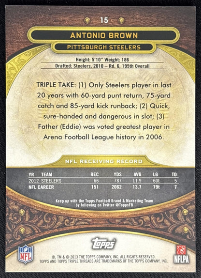 Antonio Brown 2013 Topps Triple Threads Purple /320 Steelers back