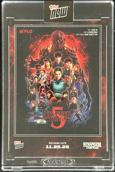 Stranger Things DVD case with promotional art and Netflix branding