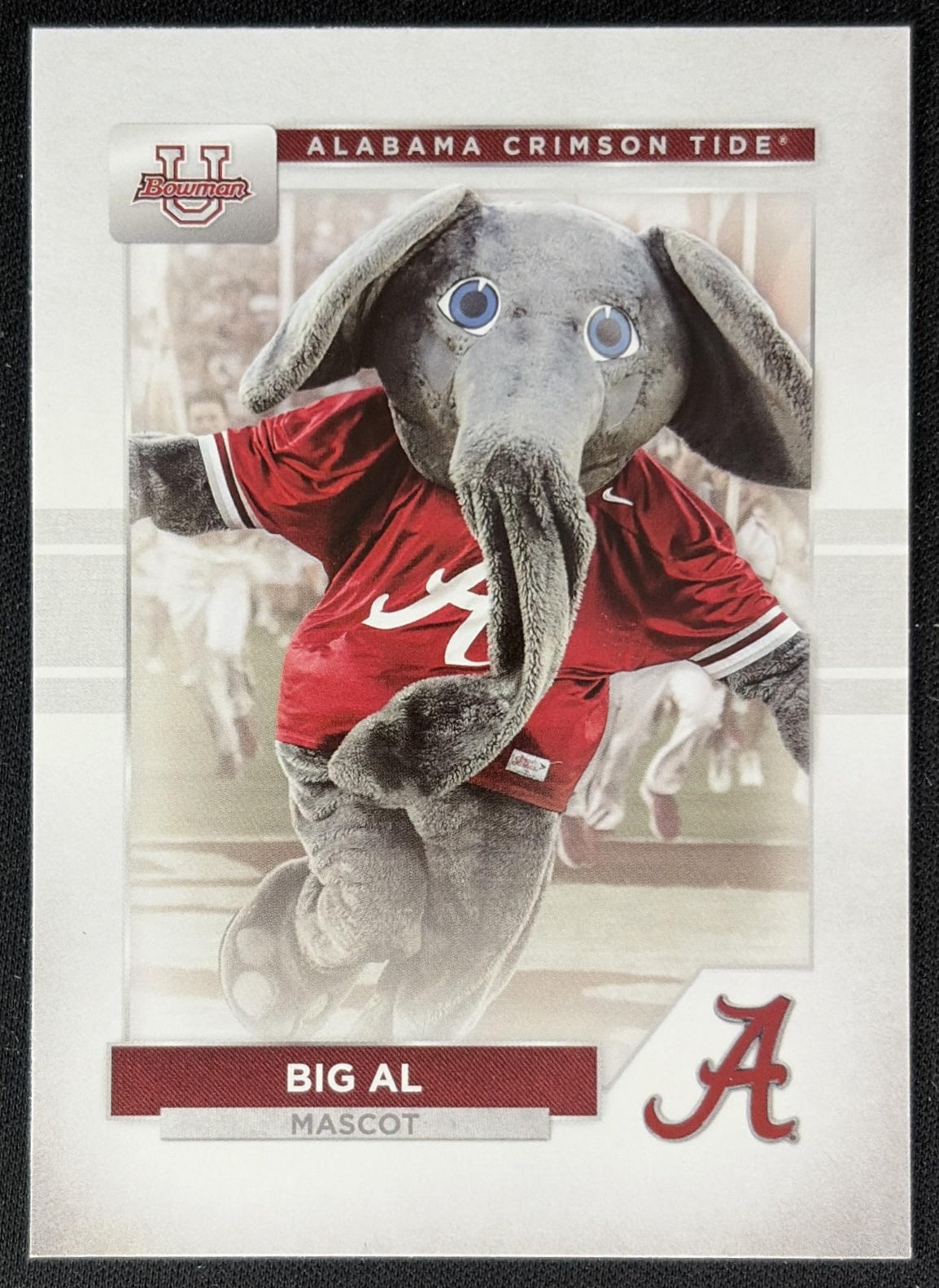 Big Al 2023 Bowman University Alabama Crimson Tide front