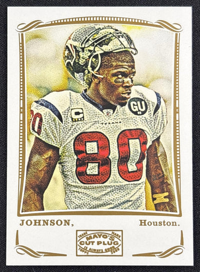 Andre Johnson 2009 Topps Mayo Texans Sports Trading Card
