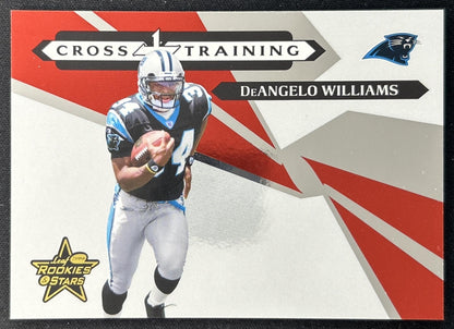 DeAngelo Williams Cross Training /1000 Panthers front